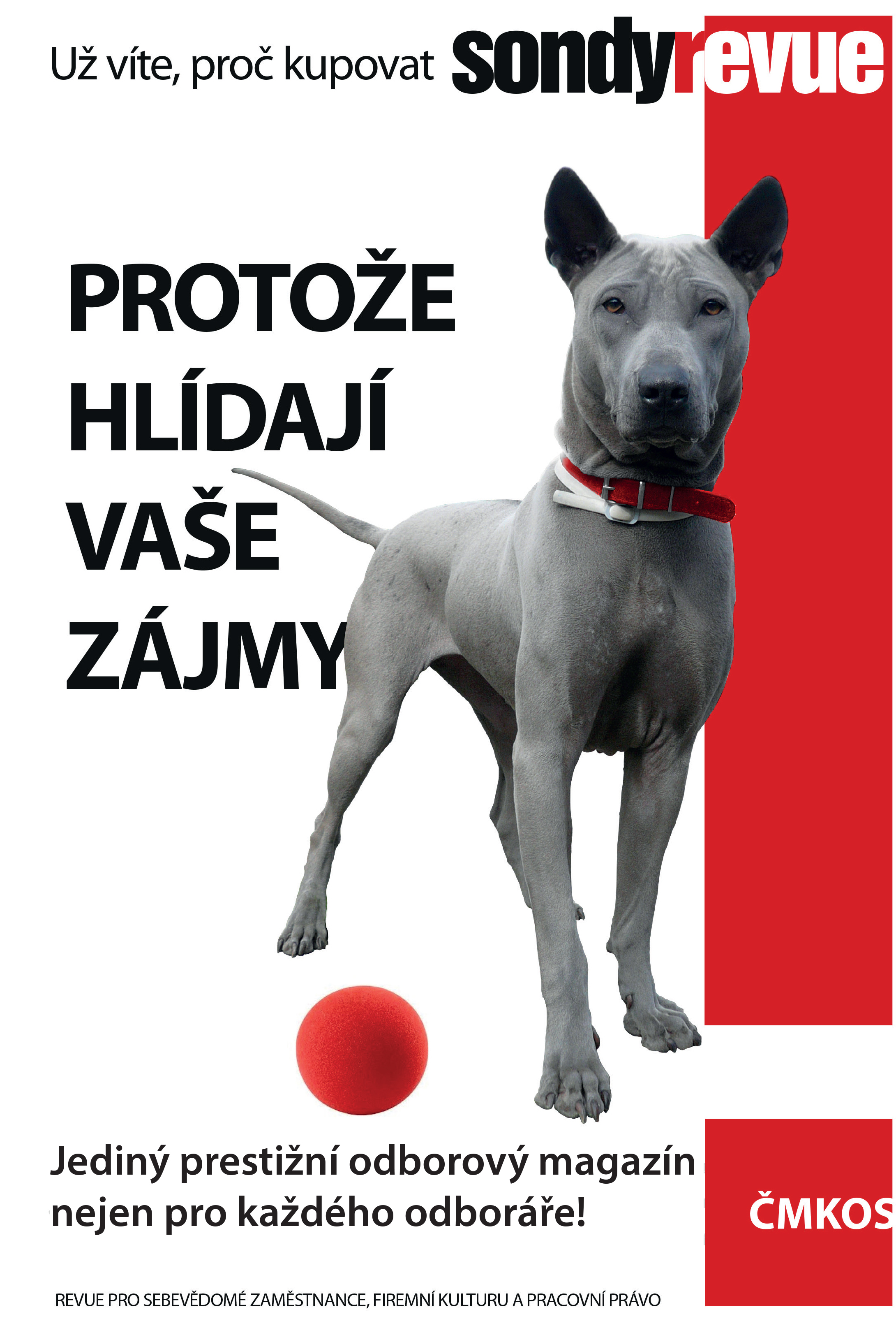 Obrázek reklamního baneru